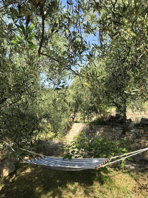 Villa Berio Due - Tuija Villa Viani Εξωτερικό φωτογραφία