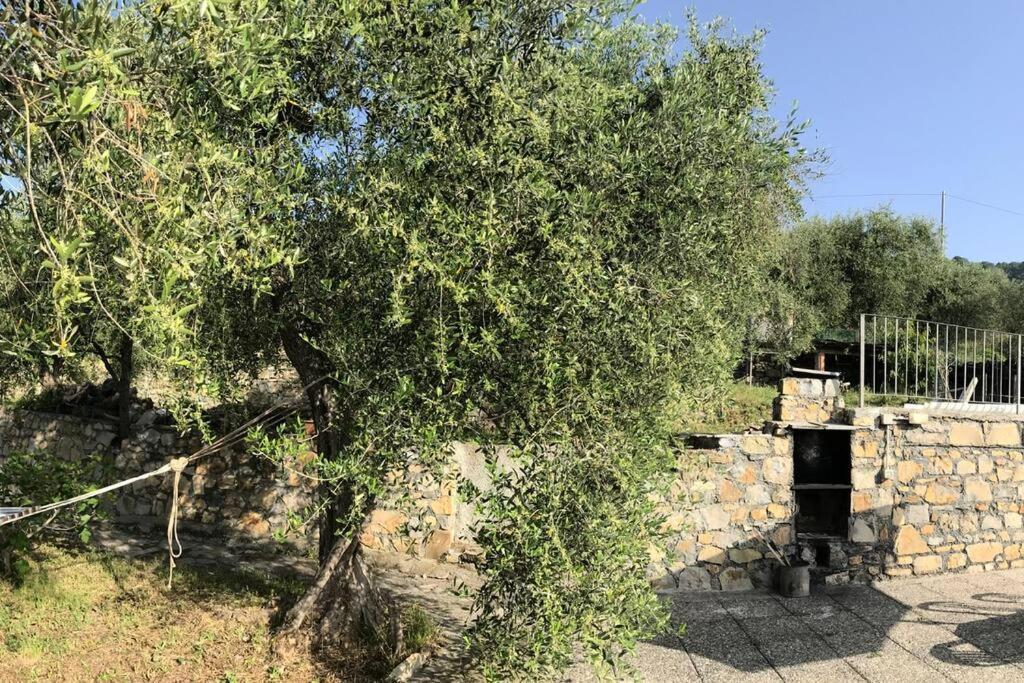 Villa Berio Due - Tuija Villa Viani Εξωτερικό φωτογραφία