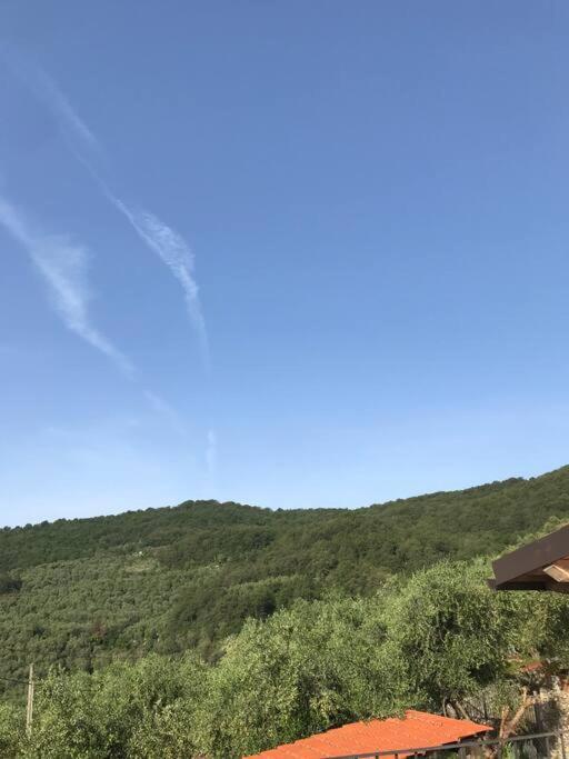 Villa Berio Due - Tuija Villa Viani Εξωτερικό φωτογραφία