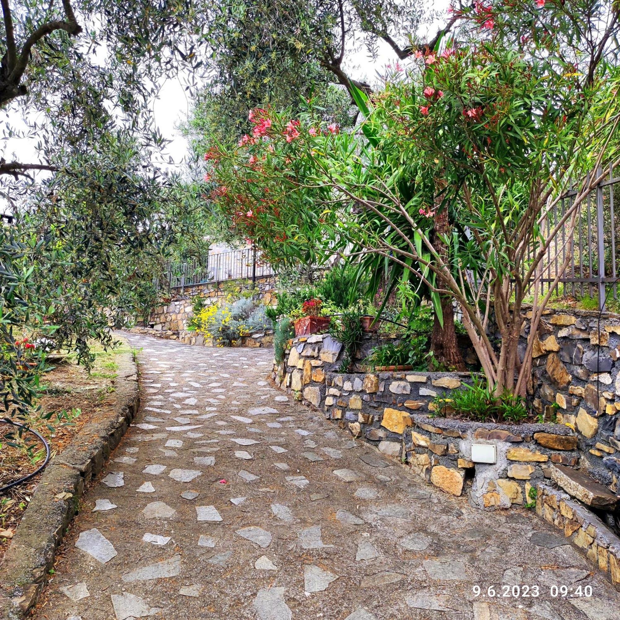Villa Berio Due - Tuija Villa Viani Εξωτερικό φωτογραφία