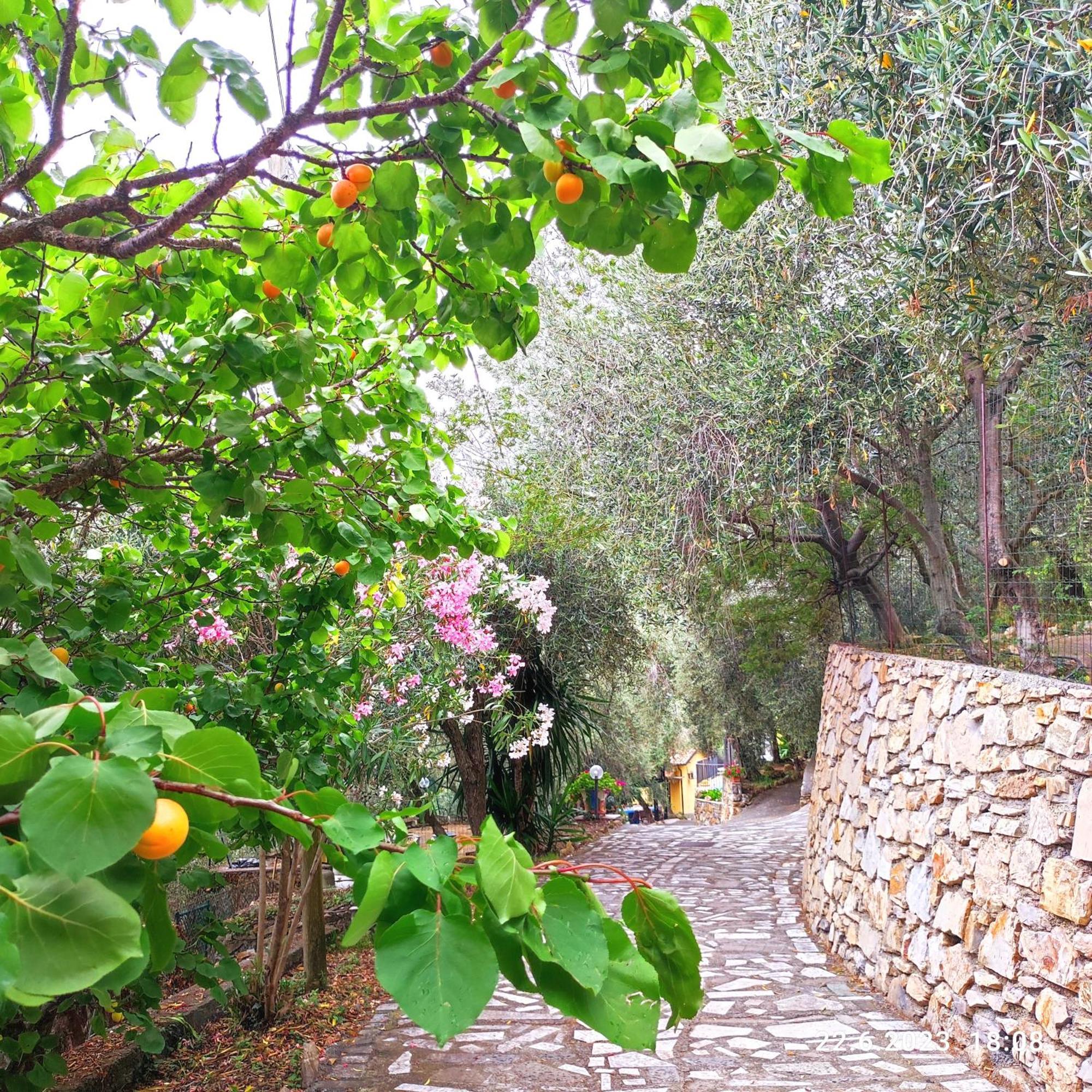 Villa Berio Due - Tuija Villa Viani Εξωτερικό φωτογραφία