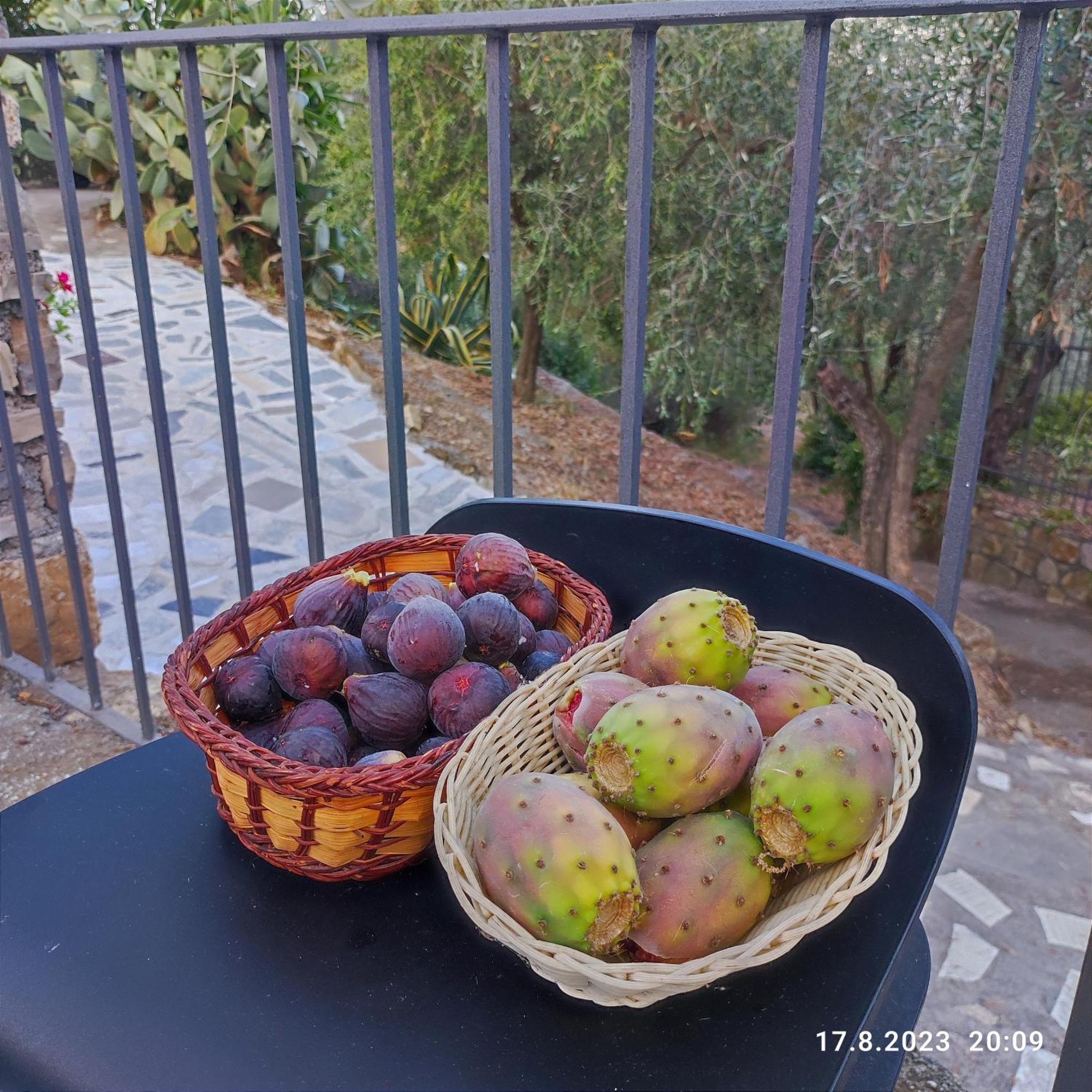 Villa Berio Due - Tuija Villa Viani Εξωτερικό φωτογραφία